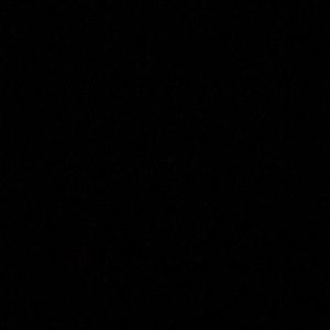 Meet your Posher, Shane